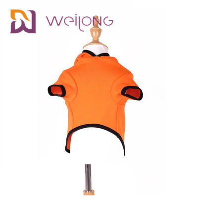 Maglia con cappuccio Cat Dog Clothes del cane di Autumn Embroidery Face Halloween Pumpkin